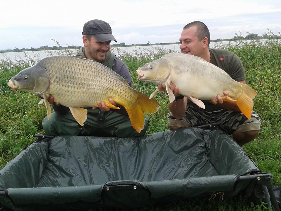 15-17.05.2015 - 1188035710135284586799737778622671133619546n.jpg